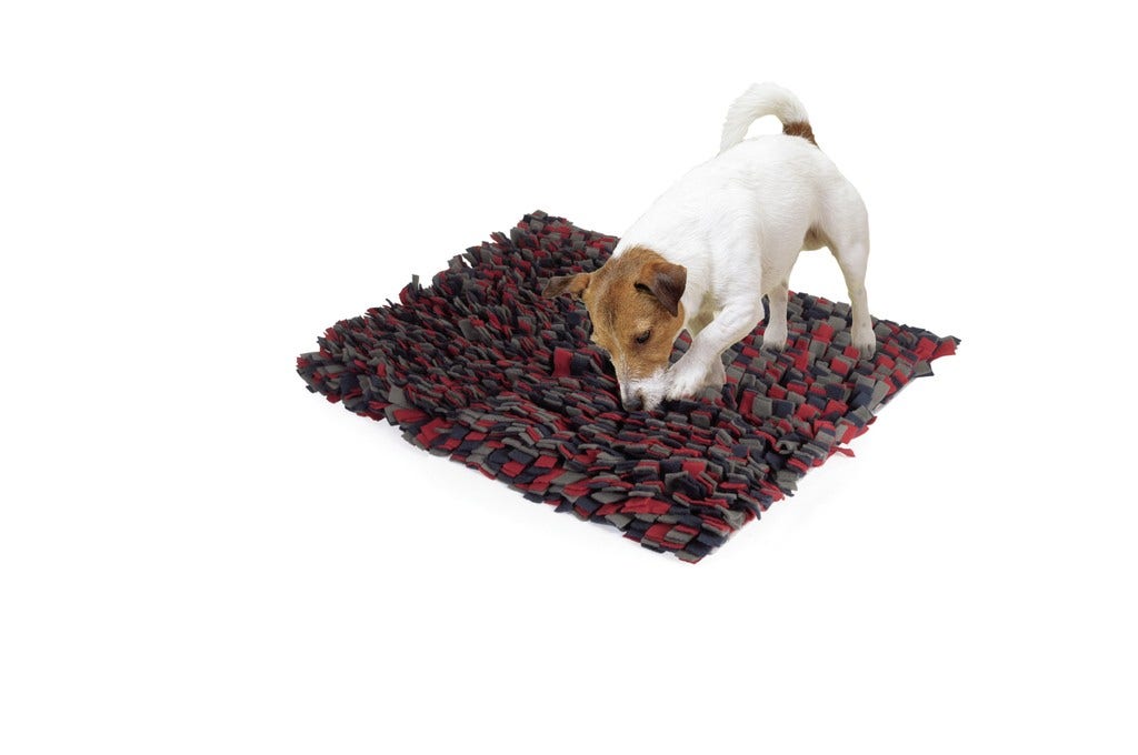 Camon Gioco Per Cani E Gatti Tappetino Genius 50x60cm-2