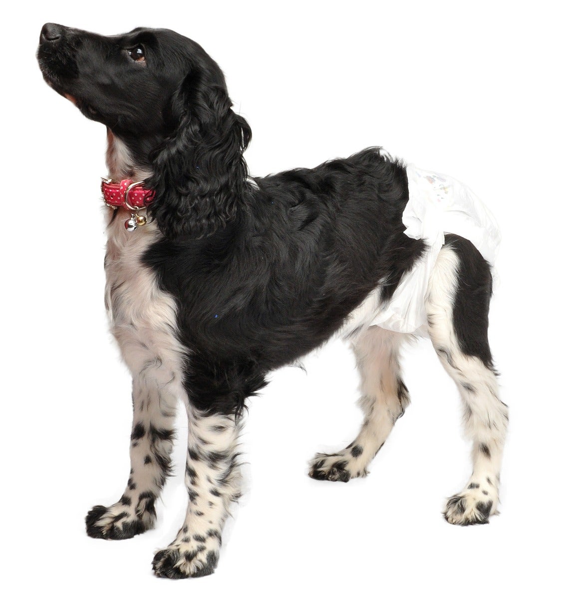 Camon Pannolini A Mutandina Taglia XL-3