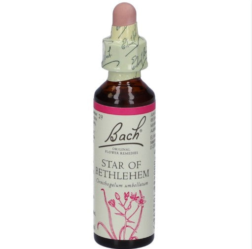 Fiori di Bach Center Star Of Bethlehem 20ml