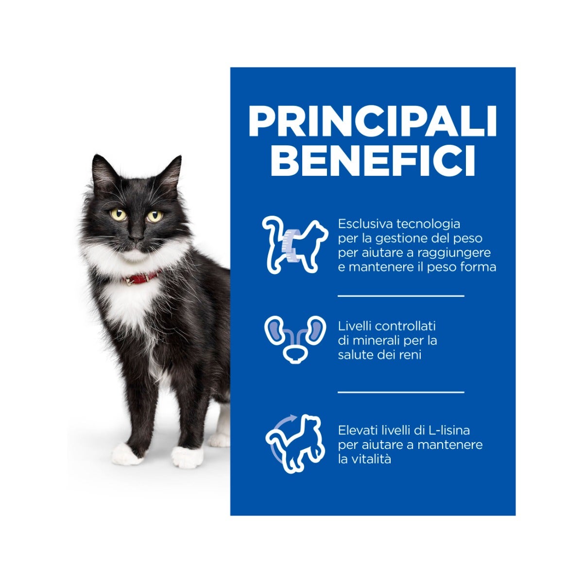 Hill's Science Plan Mature Adult 7+ Sterilised Cat Alimento Per Gatti Al Pollo Sacco 1,5kg-11