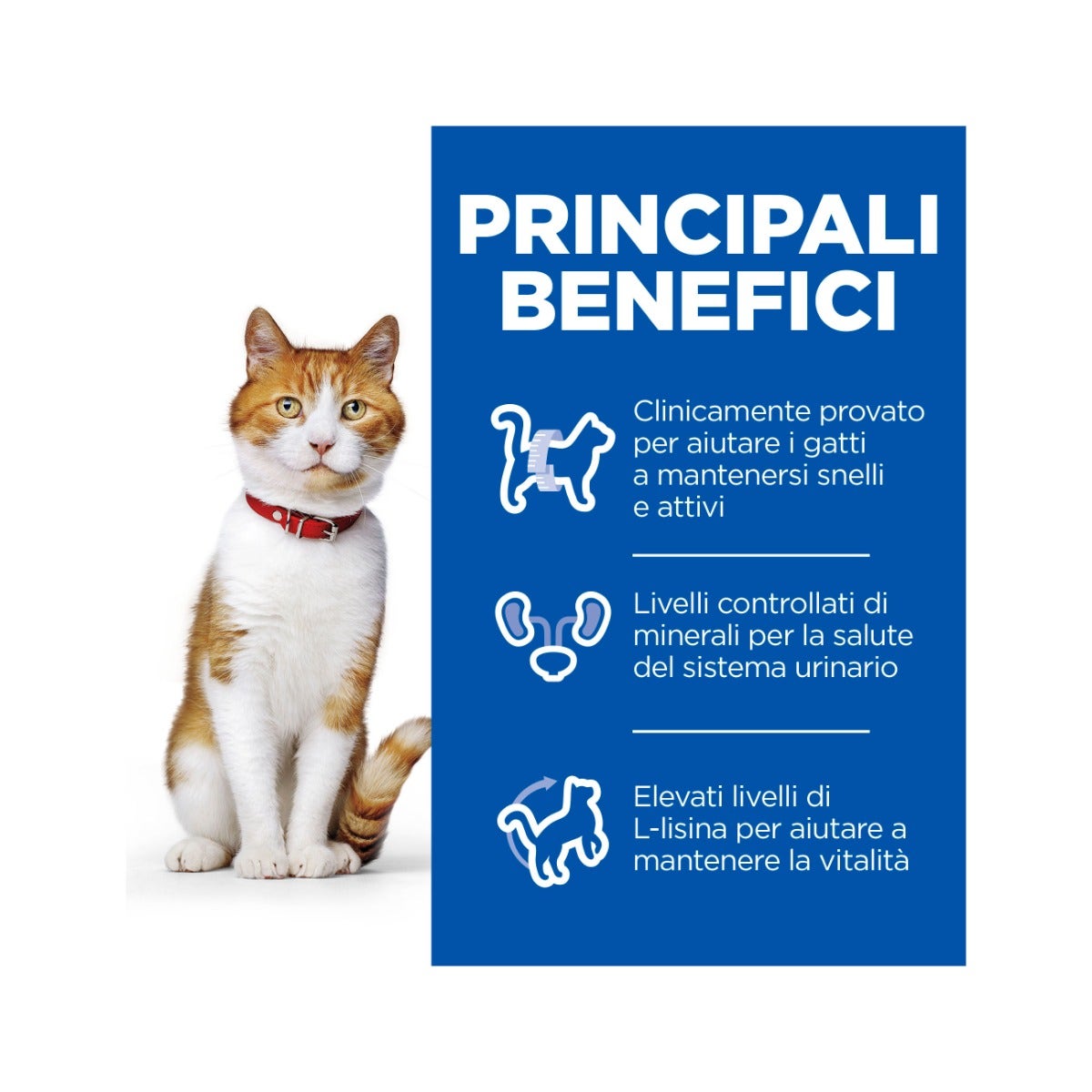 Hill's Science Plan Sterilised Cat Adult Alimento Per Gatti Con Anatra Sacco 1,5kg-5