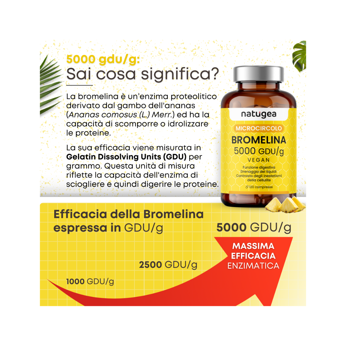 Natugea Bromelina Forte Drenante 5000 GDU/g Vegana Detox Anticellulite 120 Compresse-10