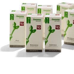Fitomedical Avena Macerato Glicerinato Bio 100ml-1