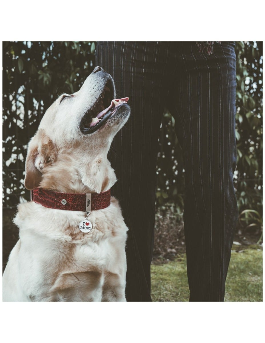 Medaglietta Per Cani E Gatti Personalizzata I Love Mom-3