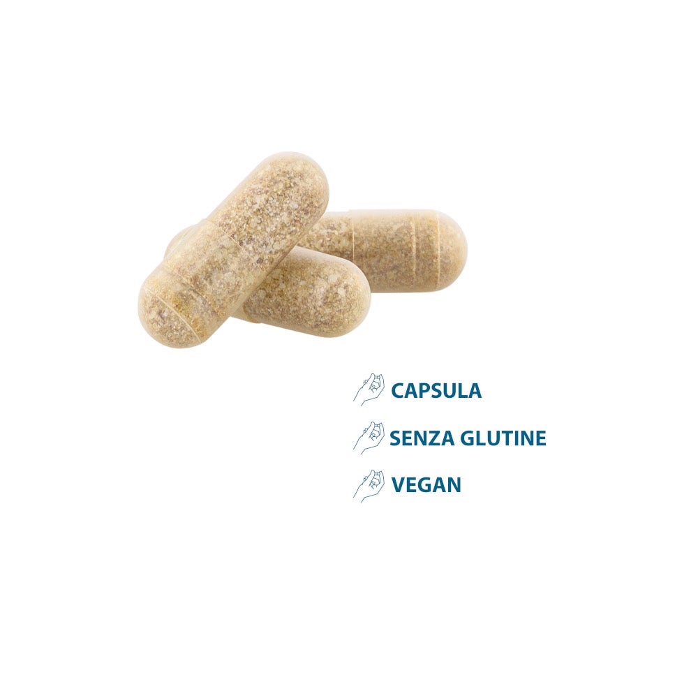 Ducray Anacaps Expert Trio 3X30 Capsule-7