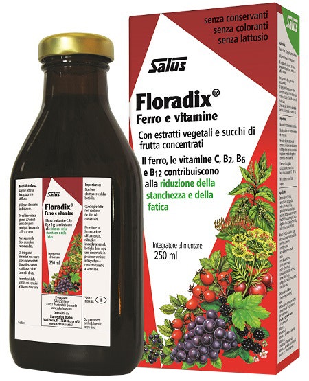 Floradix 250ml-3