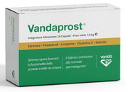 Vandaprost 24 Capsule-2