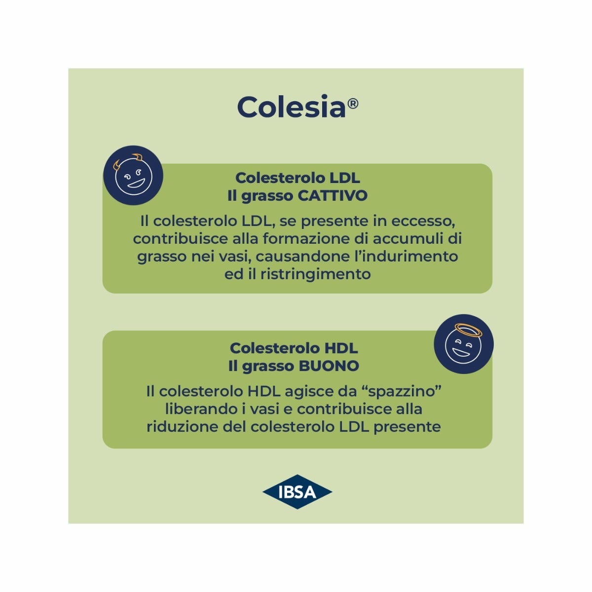 Colesia Per Il Metabolismo E Il Colesterolo 30 Capsule Molli-10