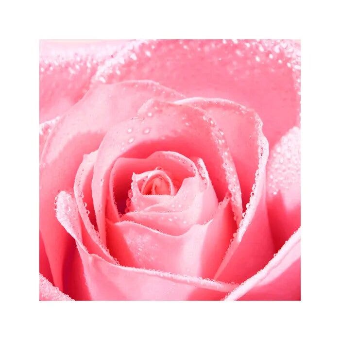 Nuxe Very Rose Crema Mani 50ml-6