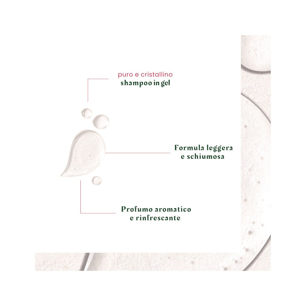 Rene Furterer Neopur Shampoo Antiforfora Grassa Equilibrante 150ml-9