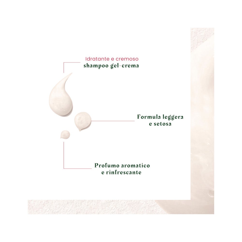 Rene Furterer Neopur Shampoo Antiforfora Secca 150ml-17