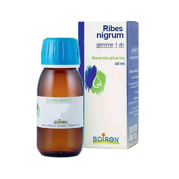 Ribes Nigrum Gemme Macerato Glicerico 60 ml  - 4