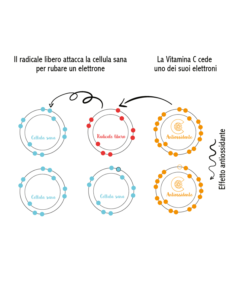 La Saponaria Attivo Puro Vitamina C 30ml  - 4