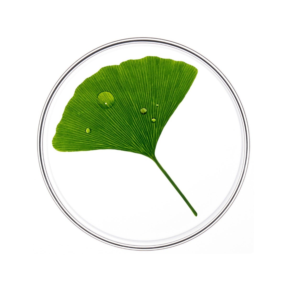 Phyto Phytocyane Fiale Donna Cadura Temporanea 12x5ml-2