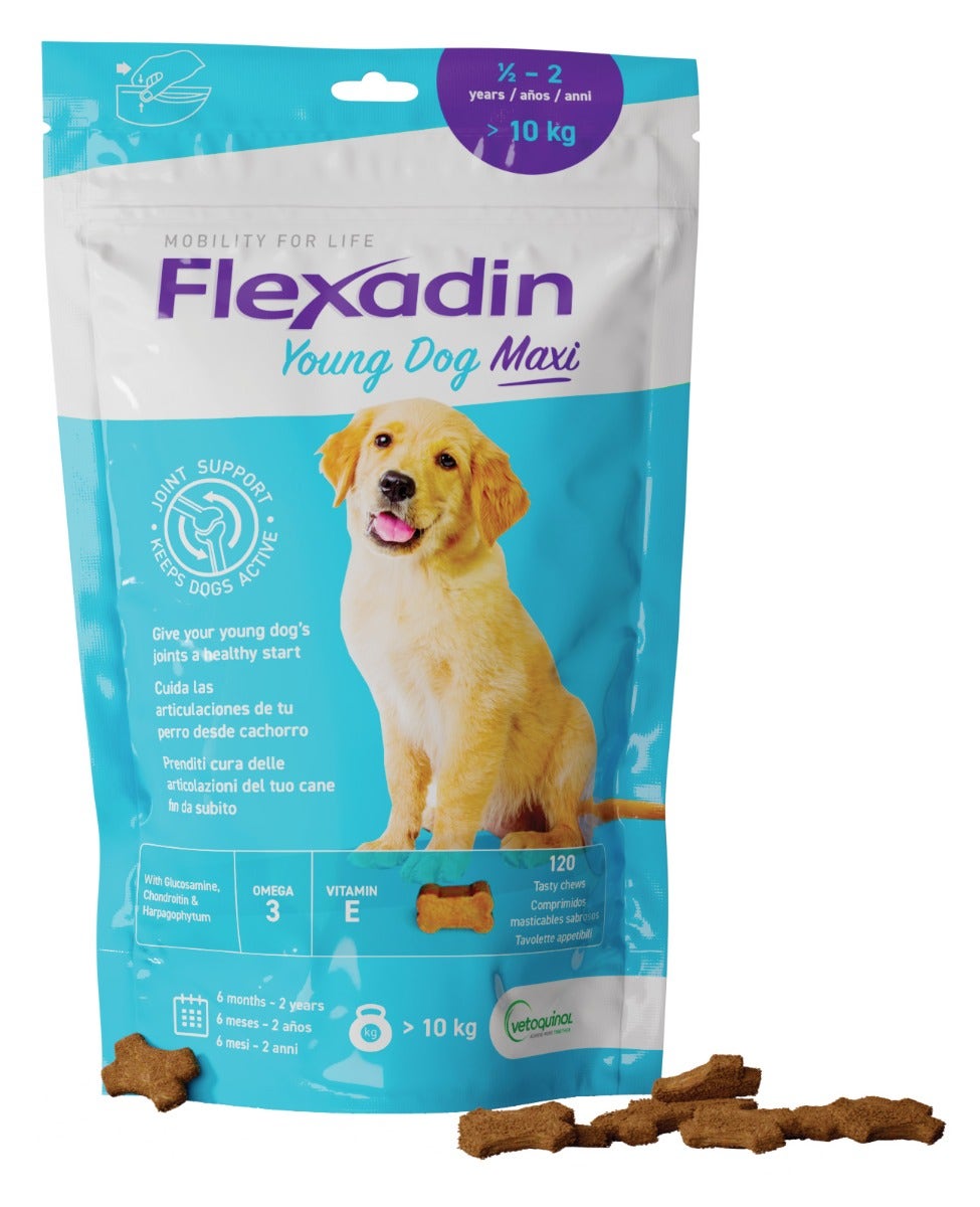Flexadin Young Mangime Complementare Articolazioni Cani Giovani Taglia Grande 120 Tavolette -5