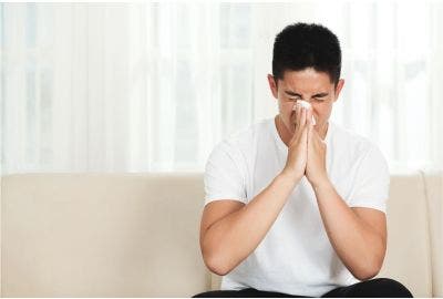 Carragelose, l’alga rossa che ci protegge dai virus respiratori