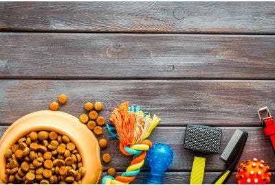 Cane e gatto, migliorare il pelo con alimentazione e integratori