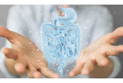 Salute intestinale, l’importanza del microbiota