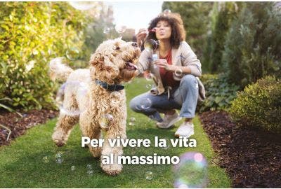 Sensibilità cutanea e alimentare di cani e gatti