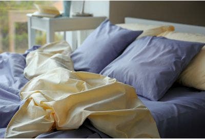 Cimici dei letti: sintomi, rimedi e prevenzione