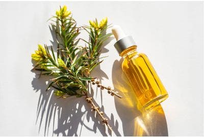 Tea Tree: proprietà, usi e benefici