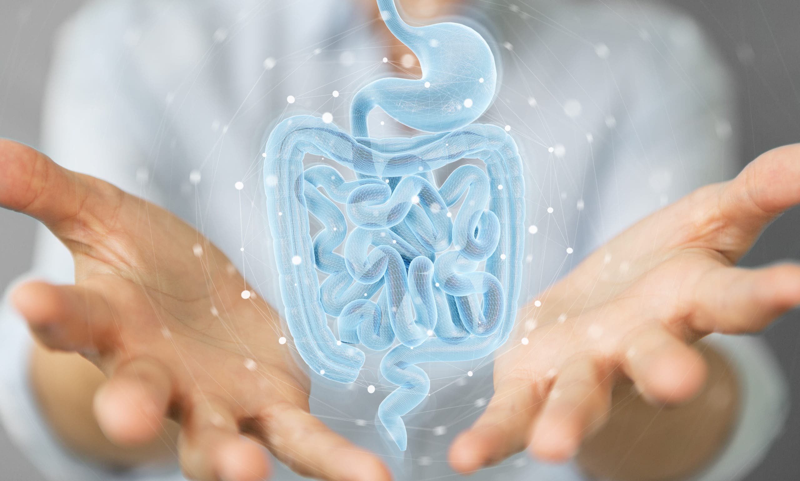 Salute intestinale, l’importanza del microbiota