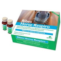 NBF Lanes Ribes Horse Respiro Mangime Complementare Per Equini 10 Flaconcini 25ml - 1