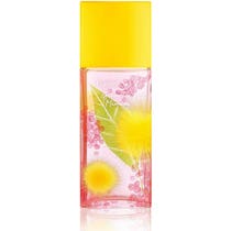 Elizabeth Arden Green Tea Mimosa Eau De Toilette 100ml - 1