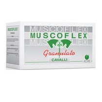 MUSCOFLEX GRANULATO 40BUST 25G-1