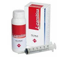 L CARNITINA 500G-1