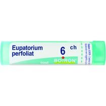 Boiron Eupatorium Perfoliatum 6Ch Tubo 80 Granuli 4g - 1