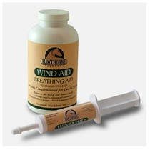 WIND AID SCIROPPO 947ML-1