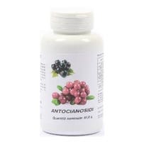 ANTOCIANOSIDI 100CPS-1