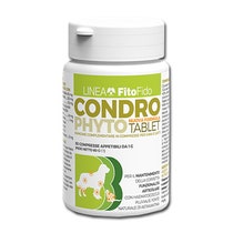 CONDROPHYTO 60CPR 1G-1