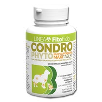 CONDROPHYTO 60CPR 2G-1