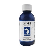 SILVER PROTECTION 150ML-1