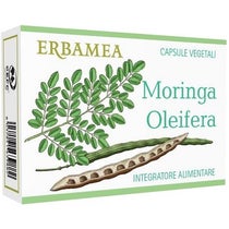 MORINGA OLEIFERA 24CPS-1