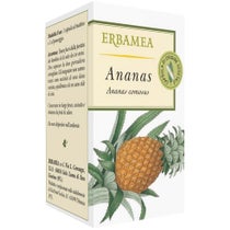 ANANAS 50OPR-1