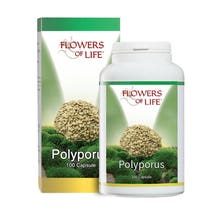 POLYPORUS 100CPS-2