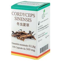 CORDYCEPS SYNENSIS 50CPS