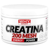 Whysport Creatina 200 Mesh Energy Power 200g-1