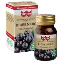 WINTER RIBES NERO 40CPS VEG-2