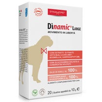 DINAMIC LARGE 20BUST 10G-1