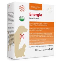 ENERGIA 20BUST 1G-1