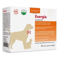 ENERGIA 20BUST 4G-1
