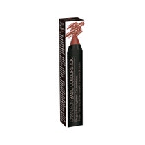 Camaleon Basic Colour Stick Terra 4g - 2