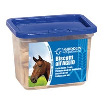 EQUISNACK BISCOTTI AGLIO 700G-1
