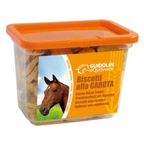 EQUISNACK BISCOTTI CAROTA 700G-1