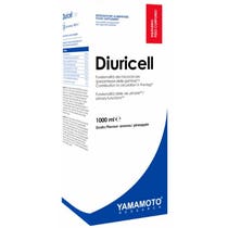 YAMAMOTO R DIURICELL 1L FRUTTI-1