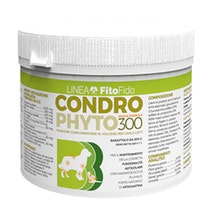 CONDROPHYTO POLVERE 300G-1